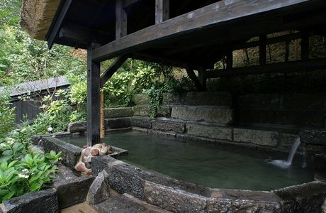 Shirani Onsen Fureai no Yu