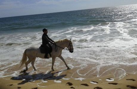 Clube Equestre A Palmeirinha