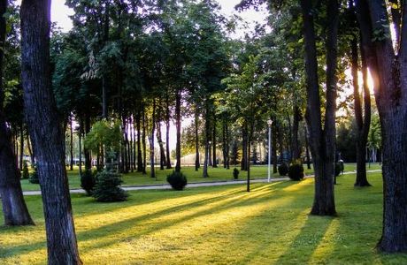 Parcul Copou