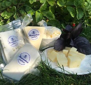 Mamontovskaya Cheese Factory