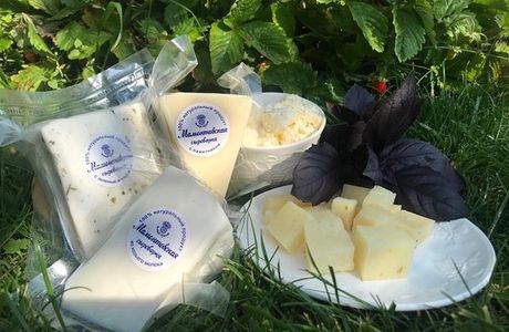 Mamontovskaya Cheese Factory