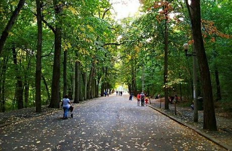 Trivale Park