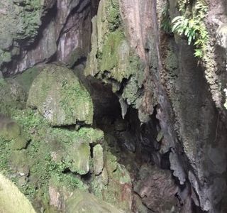 Daylight Hole Cave