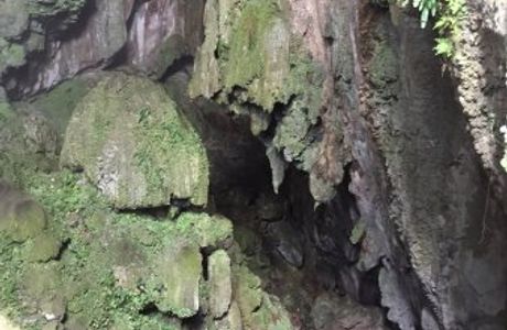 Daylight Hole Cave