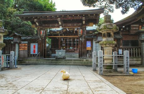 Shitaya Shrine