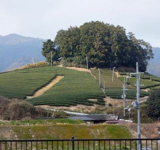 Asaka Shinno Tombs