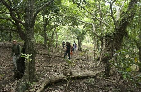 Turungan Cave