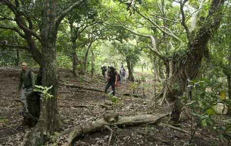 Turungan Cave 1