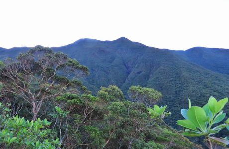 Mt Mantalingajan
