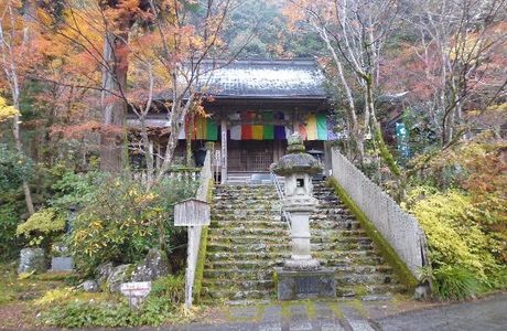 Teifukutera Temple