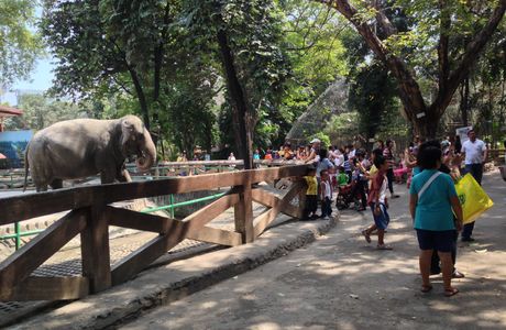 Manila Zoo