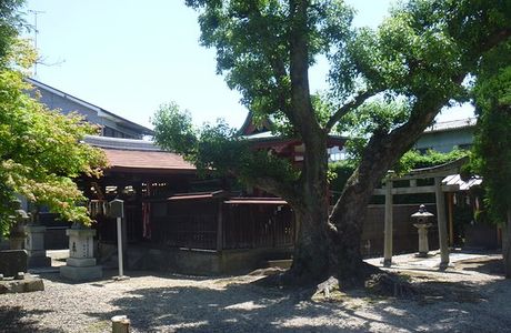 Tamaki Shrine