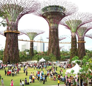 Supertree Grove