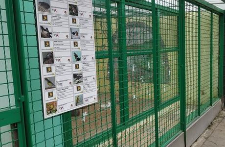 Parc de Roodebeek