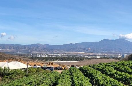 Tanaka Farms LLC