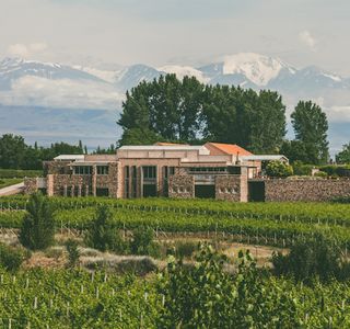 Bodega Enzo Bianchi