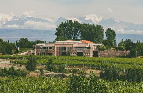 Bodega Enzo Bianchi