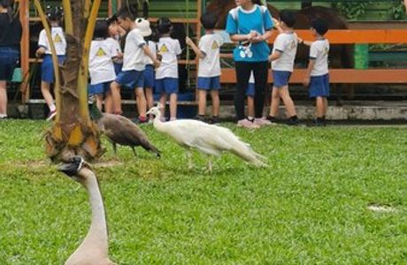 BSL Ecofarm
