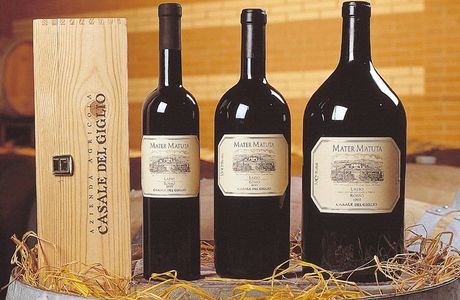 Casale Del Vino