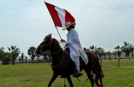 Caballos Peruanos de Paso