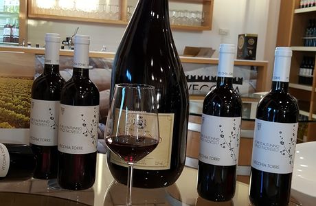 Cantina Vecchia Torre