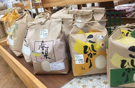 Agricultural Products Direct Sale Place Funakkohatake