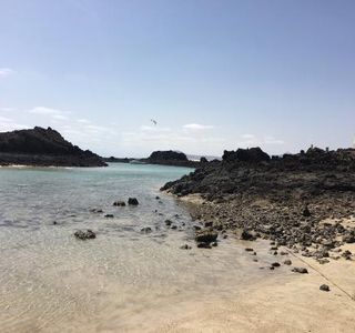 ANP Complejo Islote Lobos