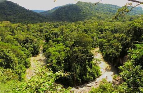 Amboró National Park