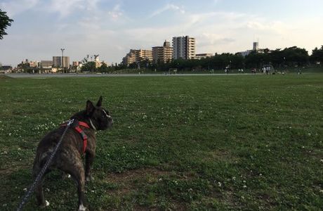 Ayase Riverside Park