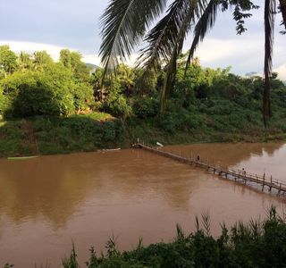 Bamboo Bridge