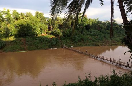 Bamboo Bridge