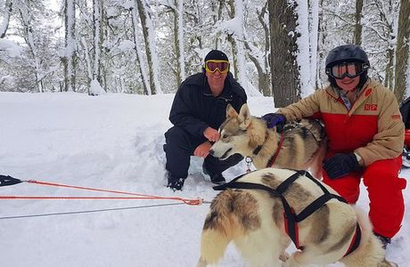 El Bosque de los Huskies