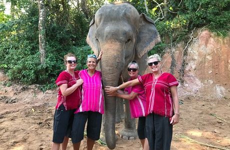 Elephant Family Phuket