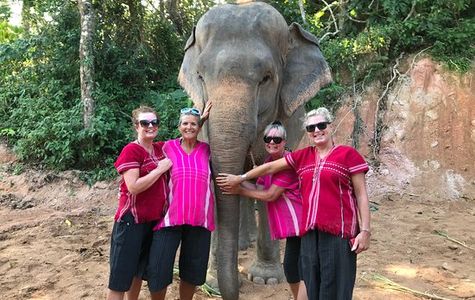 Elephant Family Phuket 1