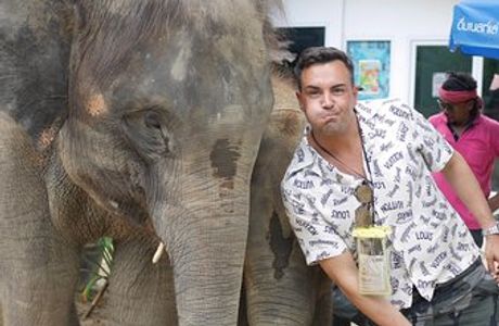 Elephant Care Samui