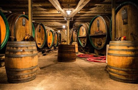 Domaine Dussourt