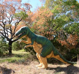 Dinosaur Valley State Park