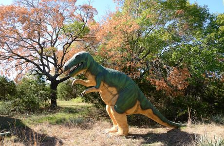 Dinosaur Valley State Park