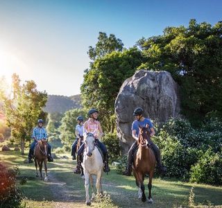 Fordsdale horseback Adventures