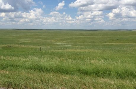 Fort Pierre National Grassland