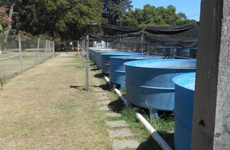 Estacion Hidrobiologica