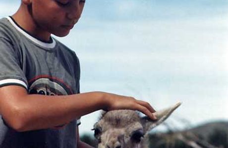 Estancia San Guillermo