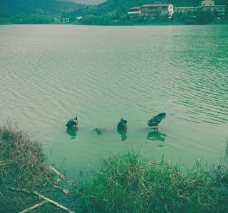 Ci lin Lake