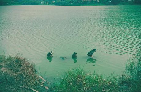 Ci lin Lake