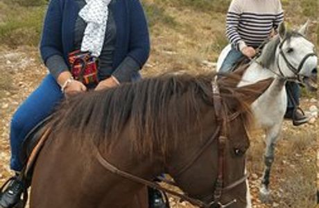 Centre Equestre des Onglous