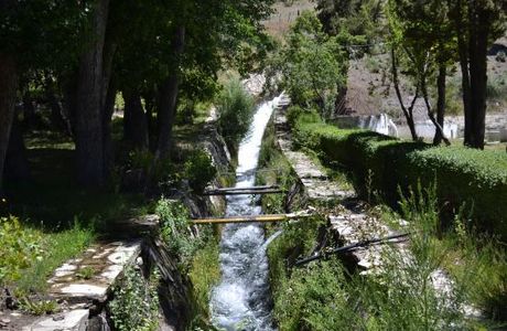 Centro de Ecologia Aplicada del Neuquen