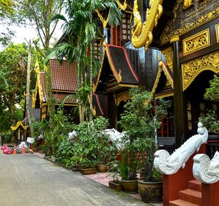 Chiang Rai Yoga House