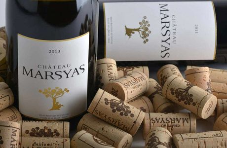 Chateau Marsyas