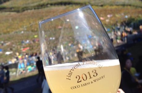 COCO FARM & WINERY