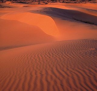 Coral Pink Sand Dunes State Park